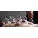 Cupping session