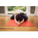 ﻿Yoga Mat 
