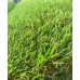 Artificial Grass