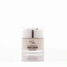 Night skin cream