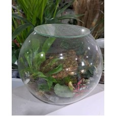 Terrarium