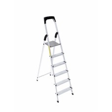 Aluminum Ladder 