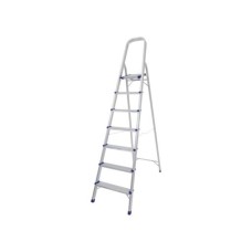 Aluminum Ladder 