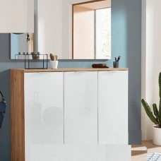 Cabinet with Mirror