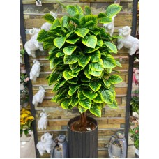 Artificial mango tree
