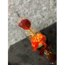 legendary rose