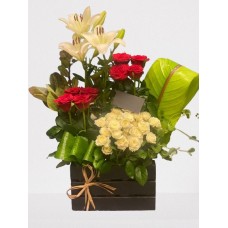 Baby Rose Arrangement