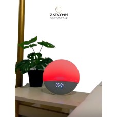 speaker
