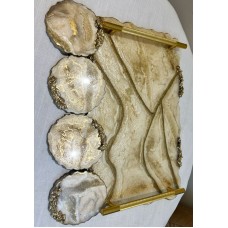 Tray and 4 resin-coated wooden coasters