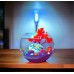 Fighter fish + tank + decorative plant and stones + a shell with a phrase of your choice written on it