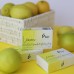Soap