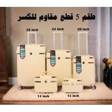 Five-piece travel bag set