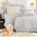 Velvet Quilt