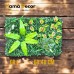 Grass alternative