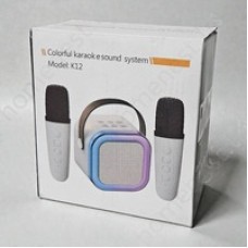 Bluetooth Karaoke Speaker with Dual Microphones