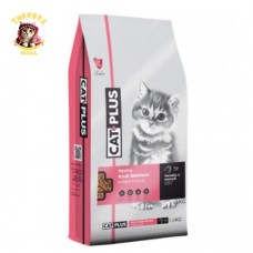 Cat Dry Food