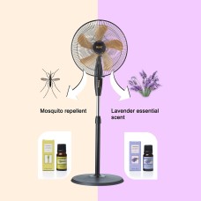 fan