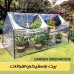 Plastic Greenhouse for Plants & Vegetables