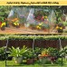 Plastic Greenhouse for Plants & Vegetables