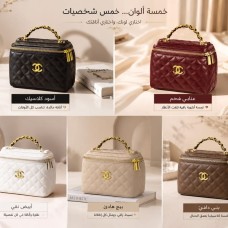 Vanity Bag Iconic Collection – Five Colors, Five Personalities