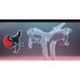Taekwondo course
