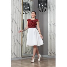 Embroidered short dress
